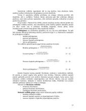 Bendros Lietuvos – Vokietijos įmonės veiklos įvertinimas ir priemonės jai gerinti 13 puslapis