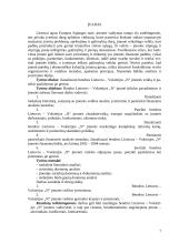 Bendros Lietuvos – Vokietijos įmonės veiklos įvertinimas ir priemonės jai gerinti 7 puslapis