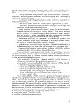 Bendros Lietuvos – Vokietijos įmonės veiklos įvertinimas ir priemonės jai gerinti 9 puslapis