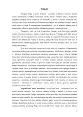 Bendrosios nuosavybės teisės įgyvendinimas 2 puslapis