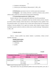 Darbuotojų atrankos ir adaptacijos procesas: UAB "Expo-Vakarai" 14 puslapis