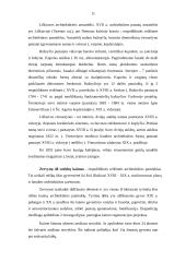 Etnografinio turizmo organizavimo ypatumai Dzūkijos nacionaliniame parke 11 puslapis