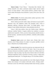 Etnografinio turizmo organizavimo ypatumai Dzūkijos nacionaliniame parke 13 puslapis