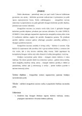 Etnografinio turizmo organizavimo ypatumai Dzūkijos nacionaliniame parke 5 puslapis