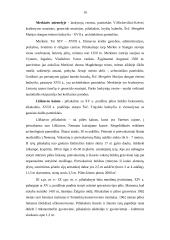 Etnografinio turizmo organizavimo ypatumai Dzūkijos nacionaliniame parke 10 puslapis