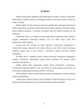 Europos Sąjungos (ES) struktūrinių fondų įtaka regionų plėtrai 2 puslapis