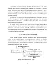 Europos Sąjungos (ES) struktūrinių fondų įtaka regionų plėtrai 5 puslapis