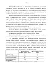 Įmonės komunikacinės sistemos ir jos struktūros gerinimo galimybės: UAB "IMC" 20 puslapis