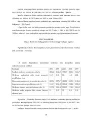 Įmonės veiklos plėtra: medienos apdirbimas UAB "Smiltynės medis" 14 puslapis