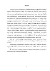 Įmonės veiklos plėtra: medienos apdirbimas UAB "Smiltynės medis" 3 puslapis