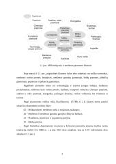 Įmonės veiklos plėtra: medienos apdirbimas UAB "Smiltynės medis" 5 puslapis