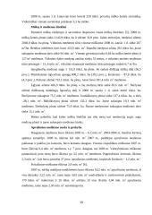 Įmonės veiklos plėtra: medienos apdirbimas UAB "Smiltynės medis" 8 puslapis