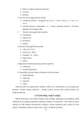 Įmonės verslo projektavimas: kelionių organizavimo paslaugos UAB "Rojaus kampelis" 12 puslapis