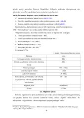 Įmonės verslo projektavimas: kelionių organizavimo paslaugos UAB "Rojaus kampelis" 16 puslapis