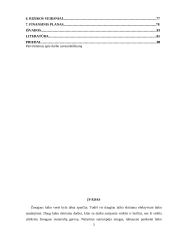 Įmonės verslo projektavimas: kelionių organizavimo paslaugos UAB "Rojaus kampelis" 3 puslapis