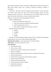 Įmonės verslo projektavimas: kelionių organizavimo paslaugos UAB "Rojaus kampelis" 4 puslapis