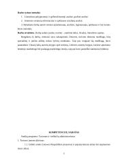 Įmonės verslo projektavimas: kelionių organizavimo paslaugos UAB "Rojaus kampelis" 5 puslapis