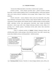 Kultūrinio turizmo veiklos aspektai kultūrines paslaugas teikiančiose įstaigose Klaipėdoje 11 puslapis