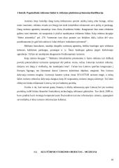 Kultūrinio turizmo veiklos aspektai kultūrines paslaugas teikiančiose įstaigose Klaipėdoje 17 puslapis