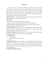 Kultūrinio turizmo veiklos aspektai kultūrines paslaugas teikiančiose įstaigose Klaipėdoje 2 puslapis