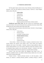 Kultūrinio turizmo veiklos aspektai kultūrines paslaugas teikiančiose įstaigose Klaipėdoje 7 puslapis