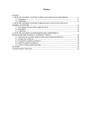 Lietuvių kalbos ugdymo problemų sprendimas