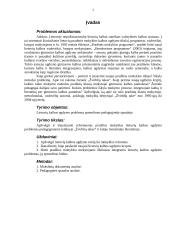 Lietuvių kalbos ugdymo problemų sprendimas 2 puslapis