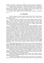 Lietuvių kalbos ugdymo problemų sprendimas 11 puslapis