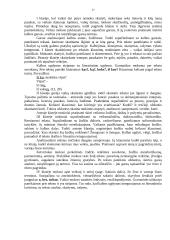 Lietuvių kalbos ugdymo problemų sprendimas 16 puslapis