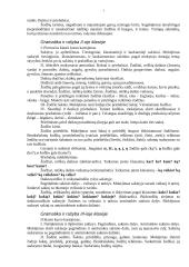 Lietuvių kalbos ugdymo problemų sprendimas 6 puslapis