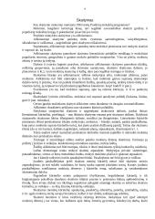 Lietuvių kalbos ugdymo problemų sprendimas 8 puslapis