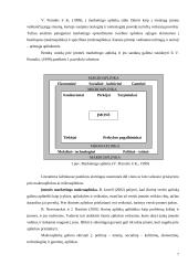 Marketingo aplinkos ir komplekso analizė: kranų gamyba, remontas ir nuoma UAB "Mažeikių strėlė" 7 puslapis