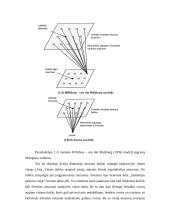 Neuronų tinklų panaudojimas bioinformatikoje 3 puslapis