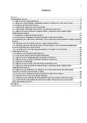 Obligacijos kainos jautrumo kriterijus 2 puslapis