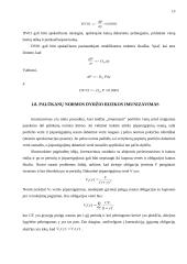 Obligacijos kainos jautrumo kriterijus 13 puslapis