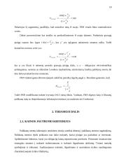 Obligacijos kainos jautrumo kriterijus 18 puslapis