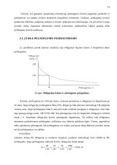 Obligacijos kainos jautrumo kriterijus 19 puslapis