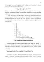 Obligacijos kainos jautrumo kriterijus 20 puslapis