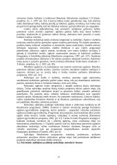 Patriotinis auklėjimas pradinėje mokykloje 12 puslapis