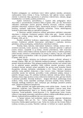 Patriotinis auklėjimas pradinėje mokykloje 13 puslapis