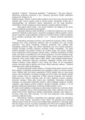 Patriotinis auklėjimas pradinėje mokykloje 18 puslapis