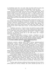 Patriotinis auklėjimas pradinėje mokykloje 3 puslapis