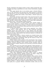 Patriotinis auklėjimas pradinėje mokykloje 8 puslapis