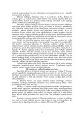 Patriotinis auklėjimas pradinėje mokykloje 9 puslapis