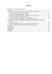 Privačios muzikinės organizacijos vadybiniai aspektai