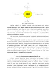 Privačios muzikinės organizacijos vadybiniai aspektai 11 puslapis