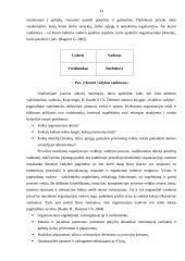 Privačios muzikinės organizacijos vadybiniai aspektai 12 puslapis