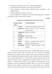 Privačios muzikinės organizacijos vadybiniai aspektai 13 puslapis