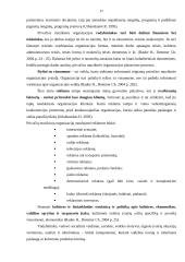 Privačios muzikinės organizacijos vadybiniai aspektai 16 puslapis