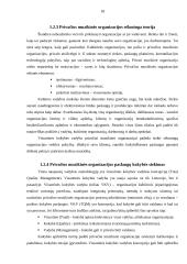 Privačios muzikinės organizacijos vadybiniai aspektai 17 puslapis